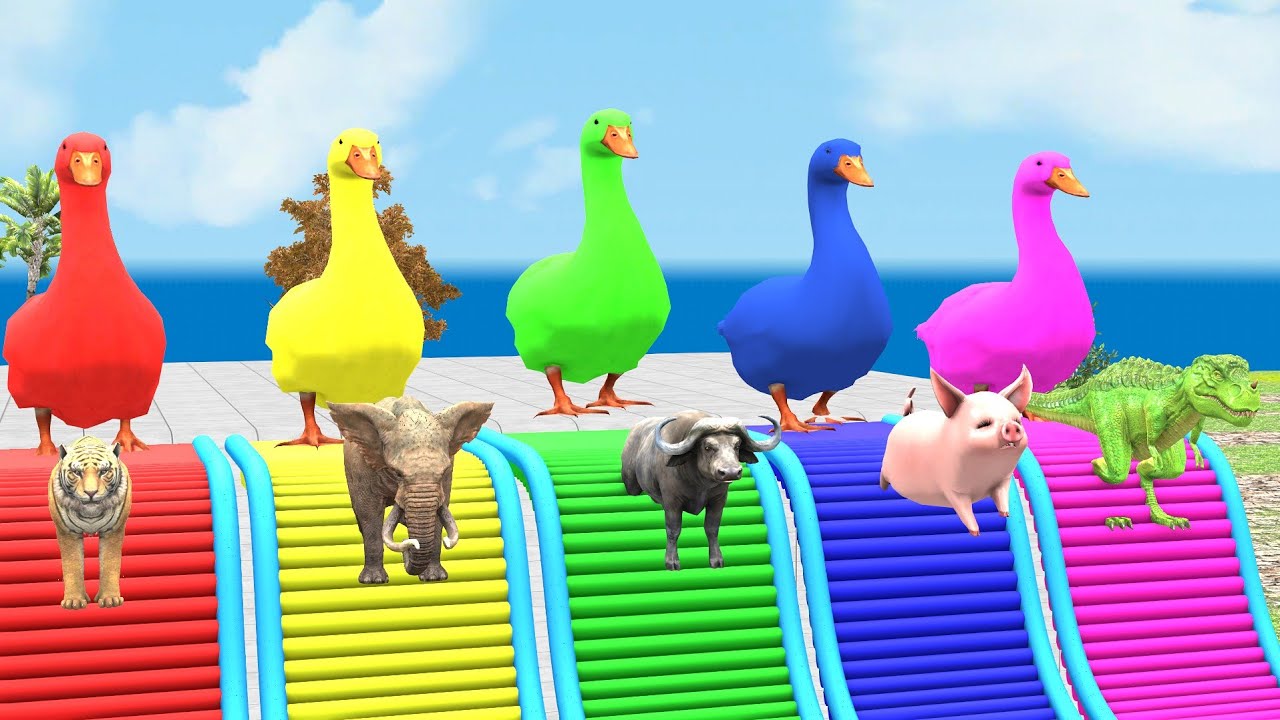 5 Giant Duck Cartoon,Tiger,Elephant,Bull,Pig,T-Rex,Paint Wild Animals Crossing Fountain Animation