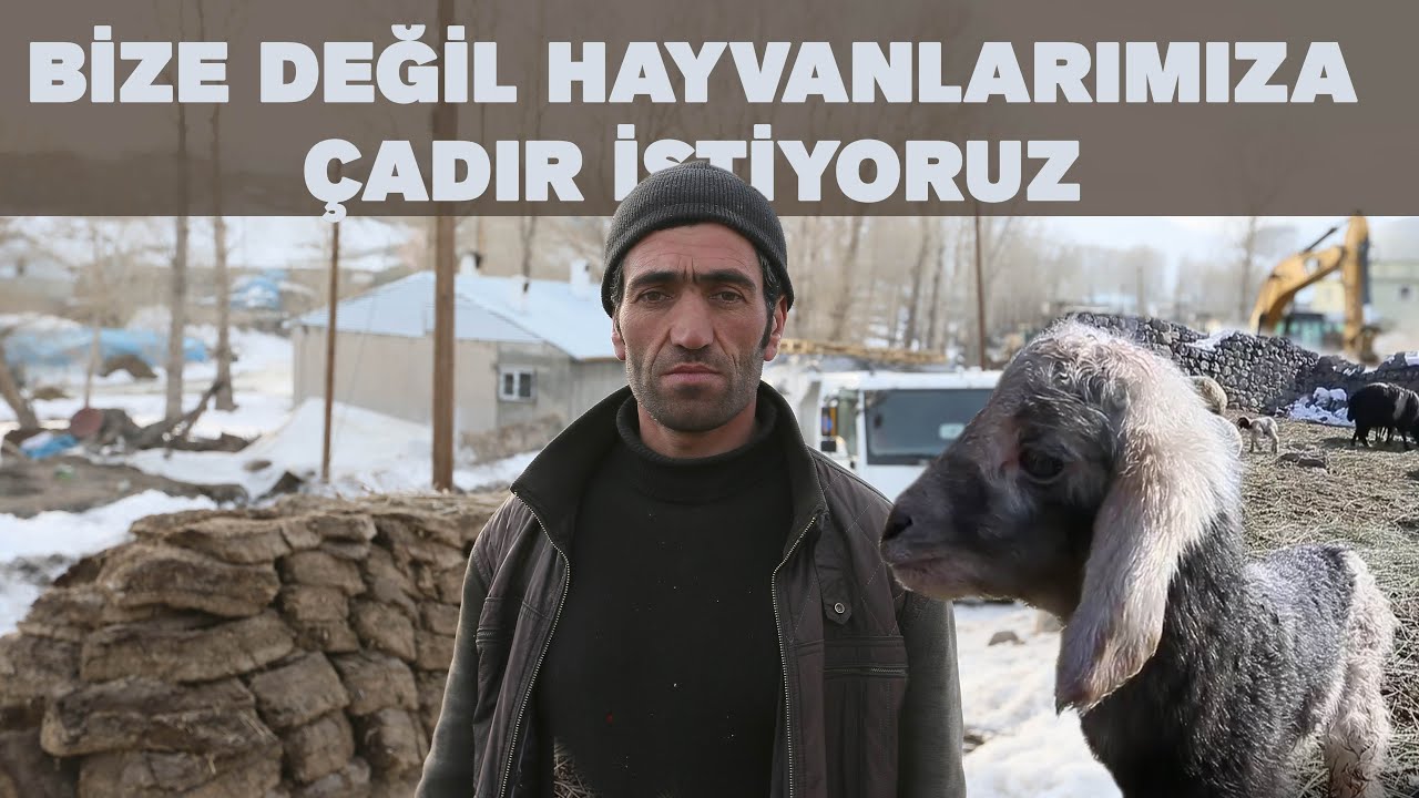 Depremzedeler hem kendileri hem de hayvanları için çadır istiyor