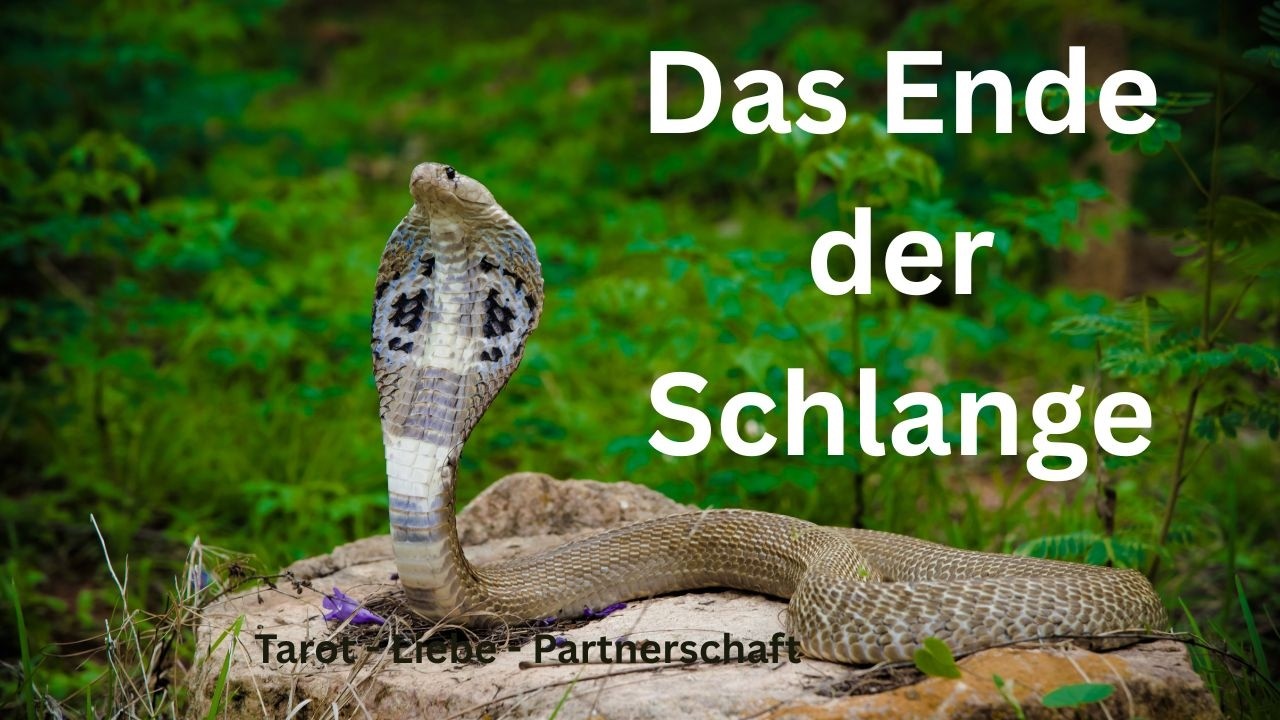💖Die Zeit der Schlange läuft ab, und damit beginnt deine💖