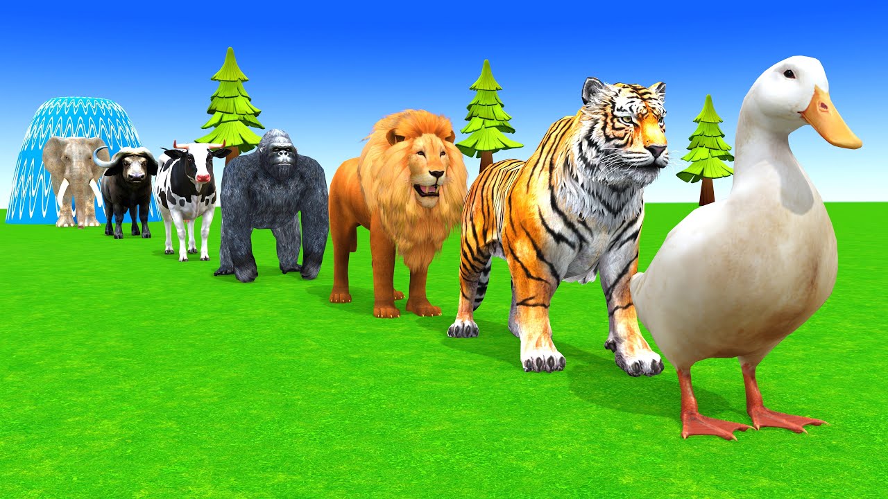 Long Slide Game With Cow Elephant Gorilla Hippopotamus Tiger 3d Animal Game Funny 3d Animals