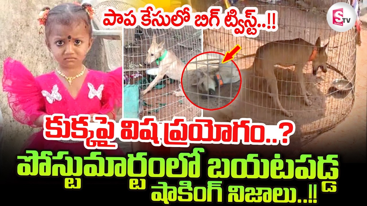 Kakinada Jahnavi Missing Case | కుక్కకు పోస్టుమా_ర్టం పూర్తి..| SumanTV Sai |@sumantvanantapur