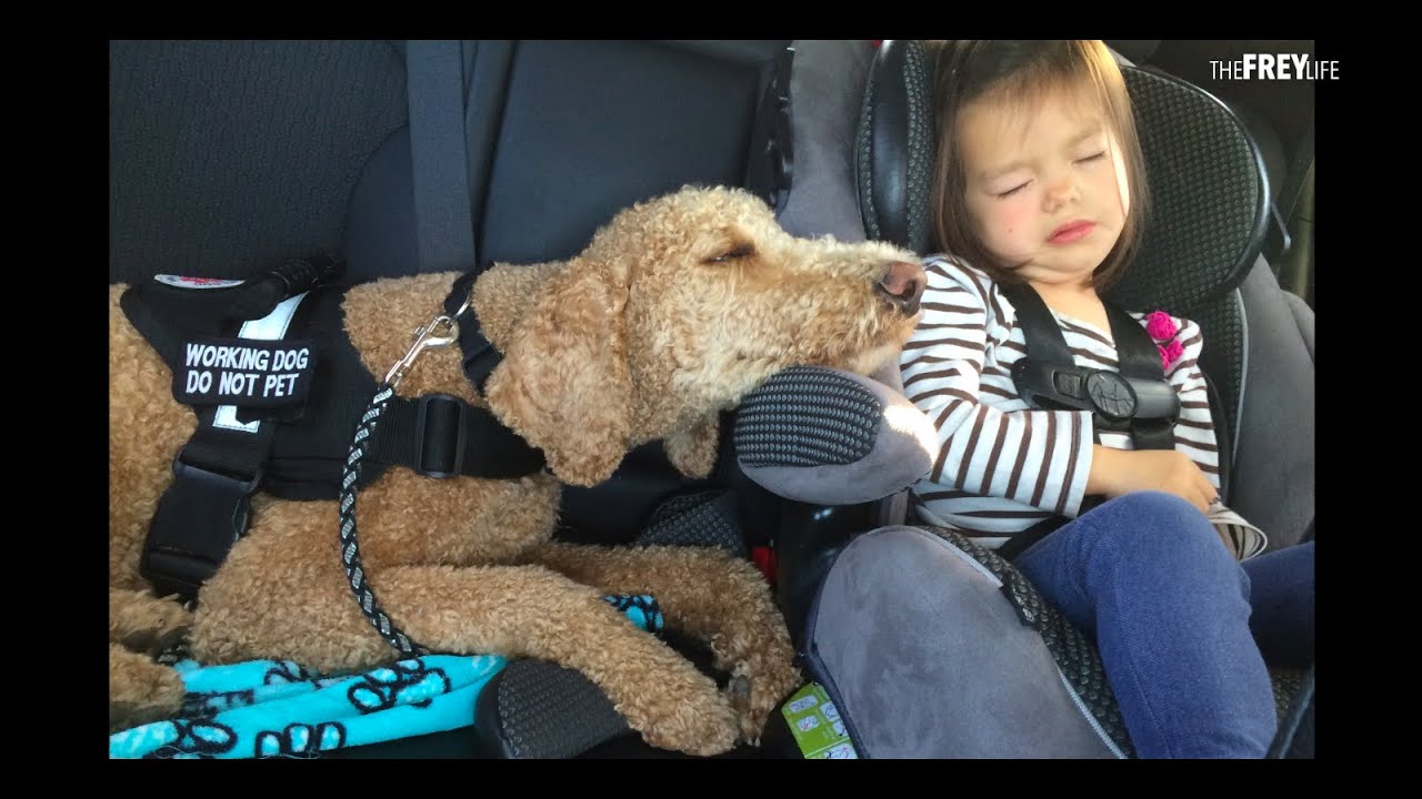 WELLNESS TEA & OLIVER UPDATE (9.27.14)