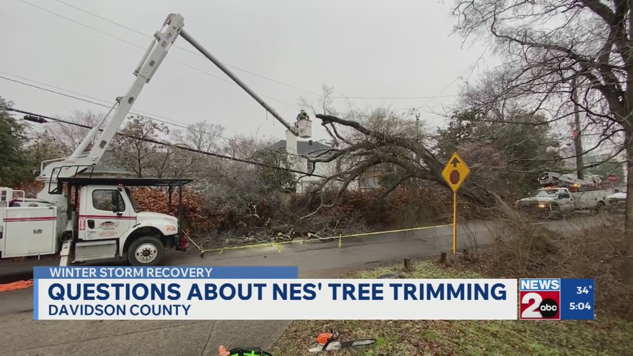 Questions about NES' tree trimming practices