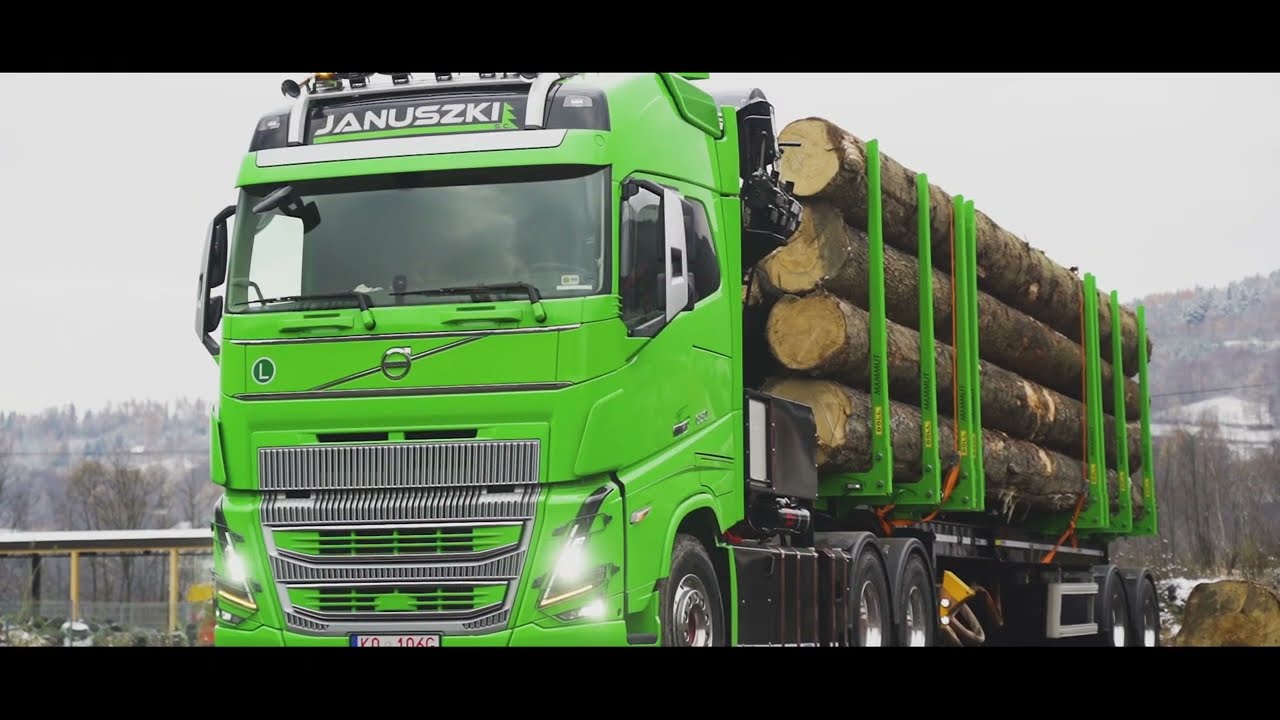 Januszki & Gelder Holztransporte - Volvo FH16 650