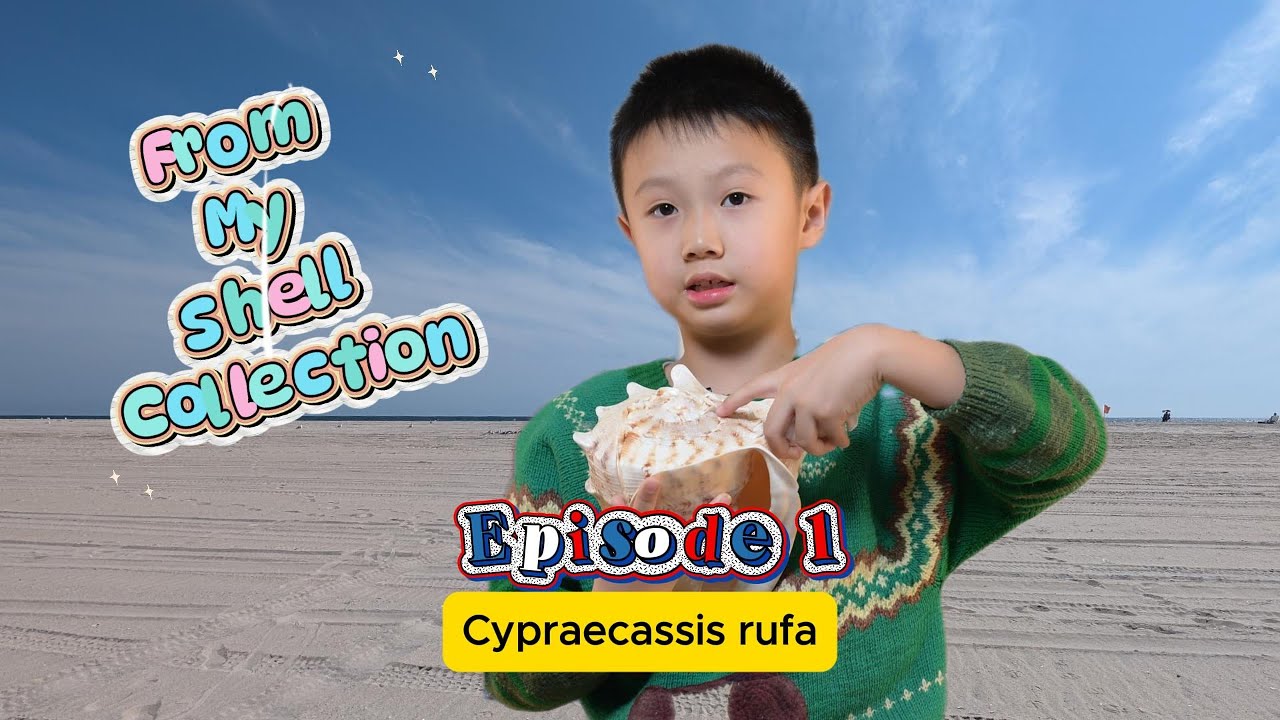 From My Sea Shell Collection EP1