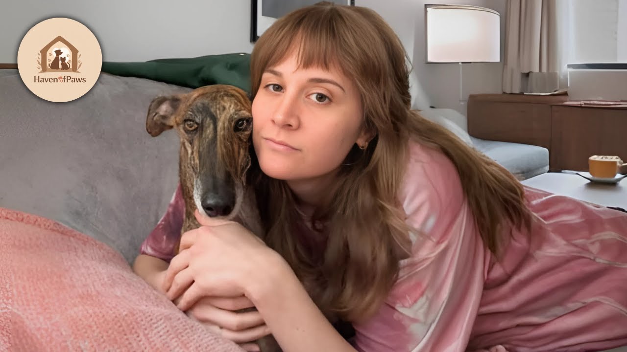 No One Wanted This Dog, You'll Cry Seeing His Reaction To His New Home