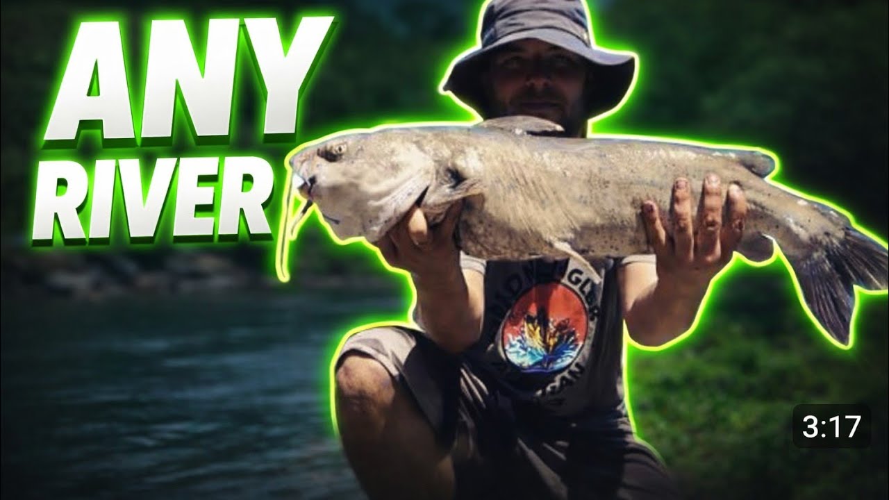 How to Catch Channel Catfish on ANY River System (Riffle, Hole, Run)