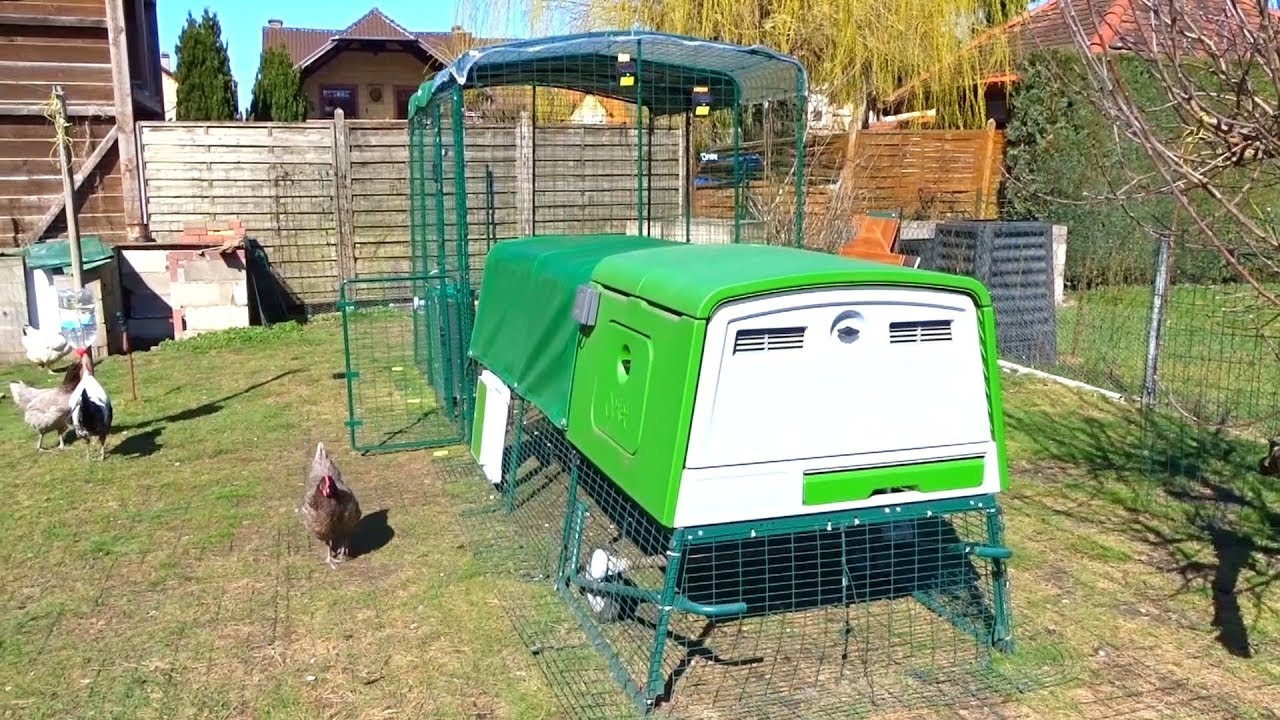 Дизайн птицефермы Eglu Cube на большом омлетном шкафу.
