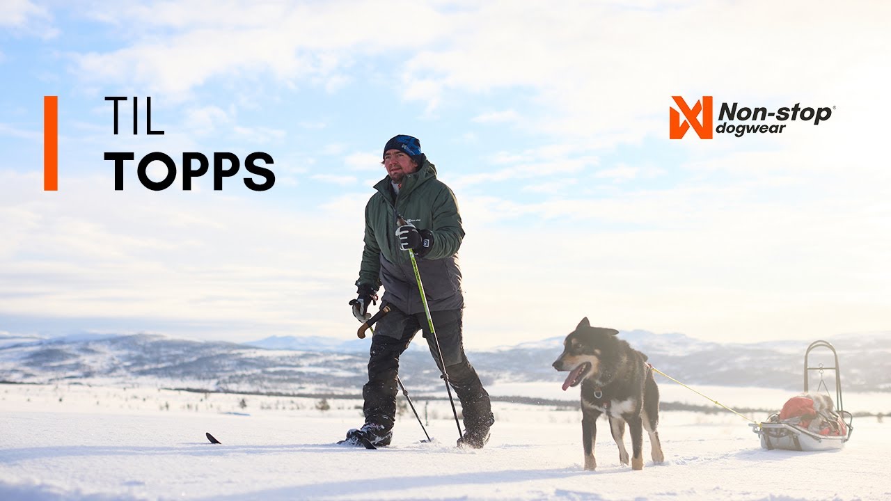 Til topps - Non-stop dogwear