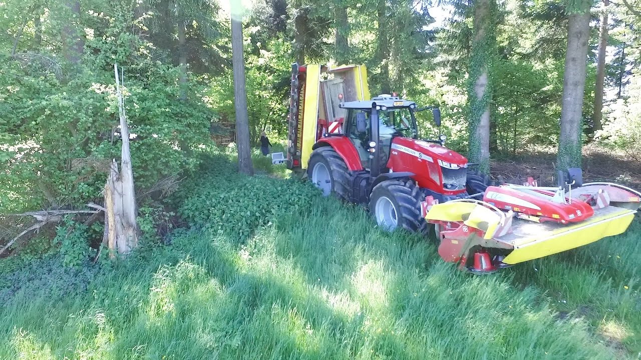Farmerpower am Grasmähen ( 10m ) mit MF und Pöttingerpower