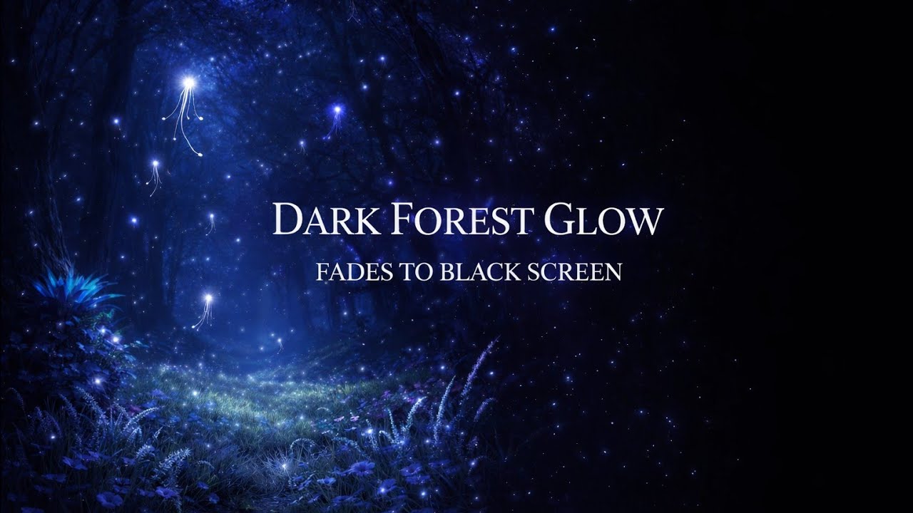 Dark Forest Glow Ambience | Peaceful Sleep Sounds (8 Hour Dark Screen)