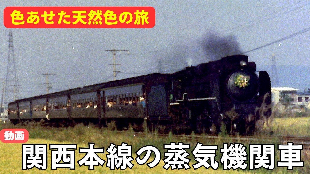 動画・関西本線の蒸気機関車