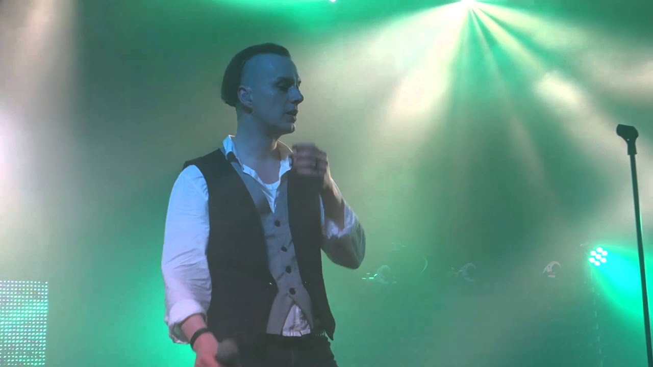 Solar Fake - Heroes (Live in Hamburg) (David Bowie Cover)