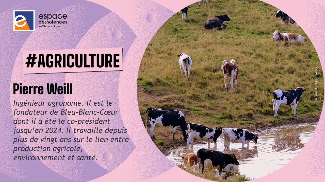 🐮 [Pierre Weill] Agriculture et alimentation : quels impacts sur notre sant&eacute; ?