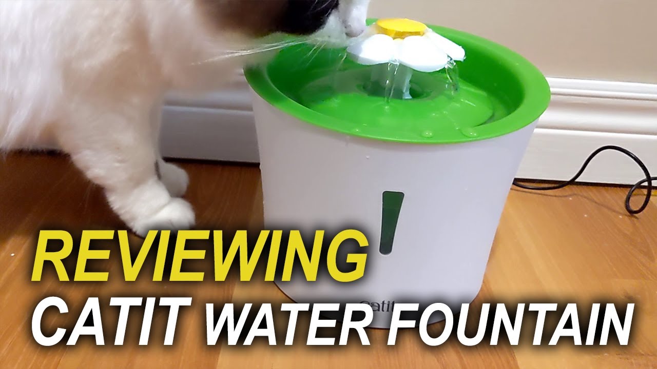 Product Review - Catit Fountain