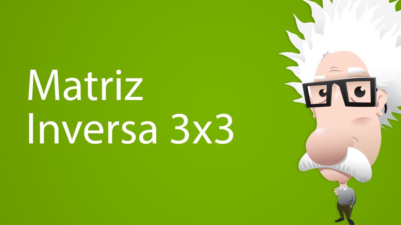 Matriz Inversa 3x3