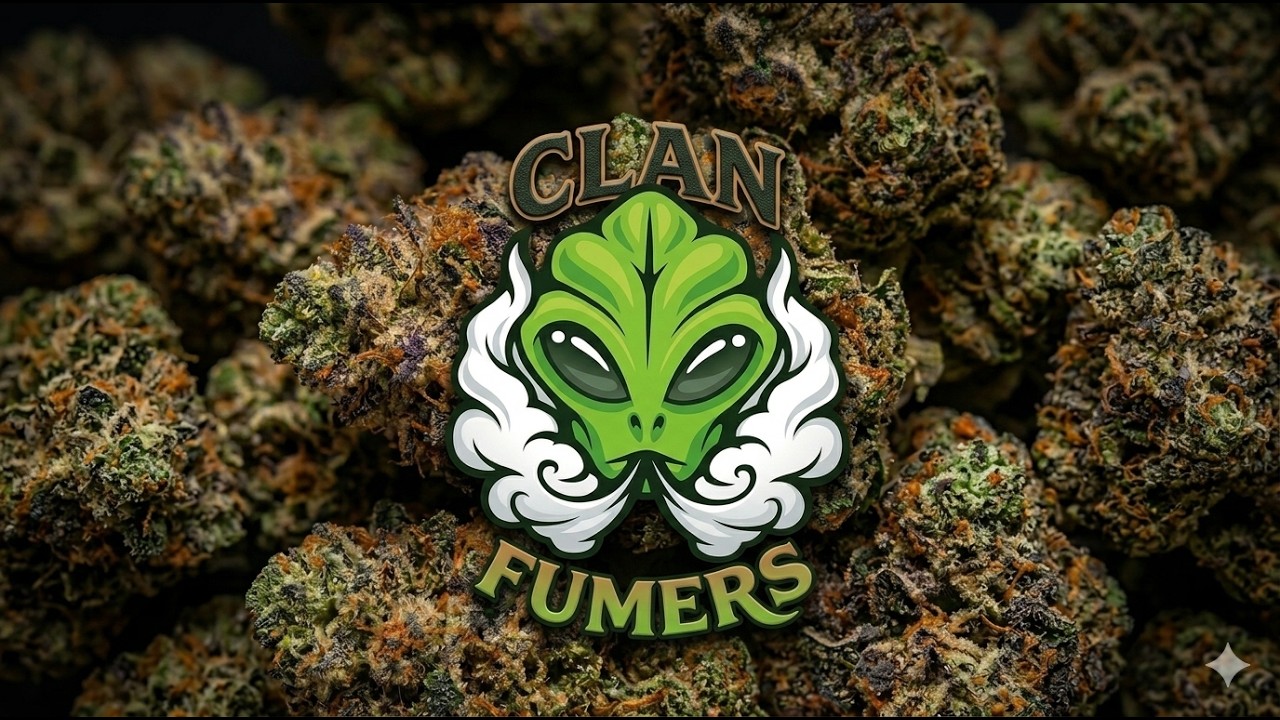 [CwOficialOP7] -FumerS- Vs Bless1nG / PP /FullVocesTeamSpeak3