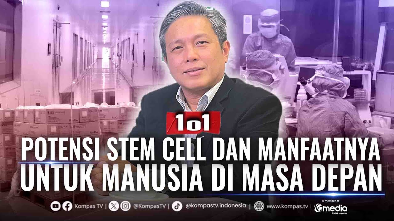 Potensi Stem Cell dan Manfaatnya Untuk Manusia di Masa Depan