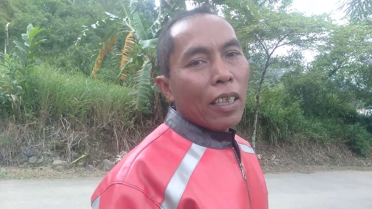 Persawahan desa cipikur#sawah #@(Naah Sanaah-ob7ys)
