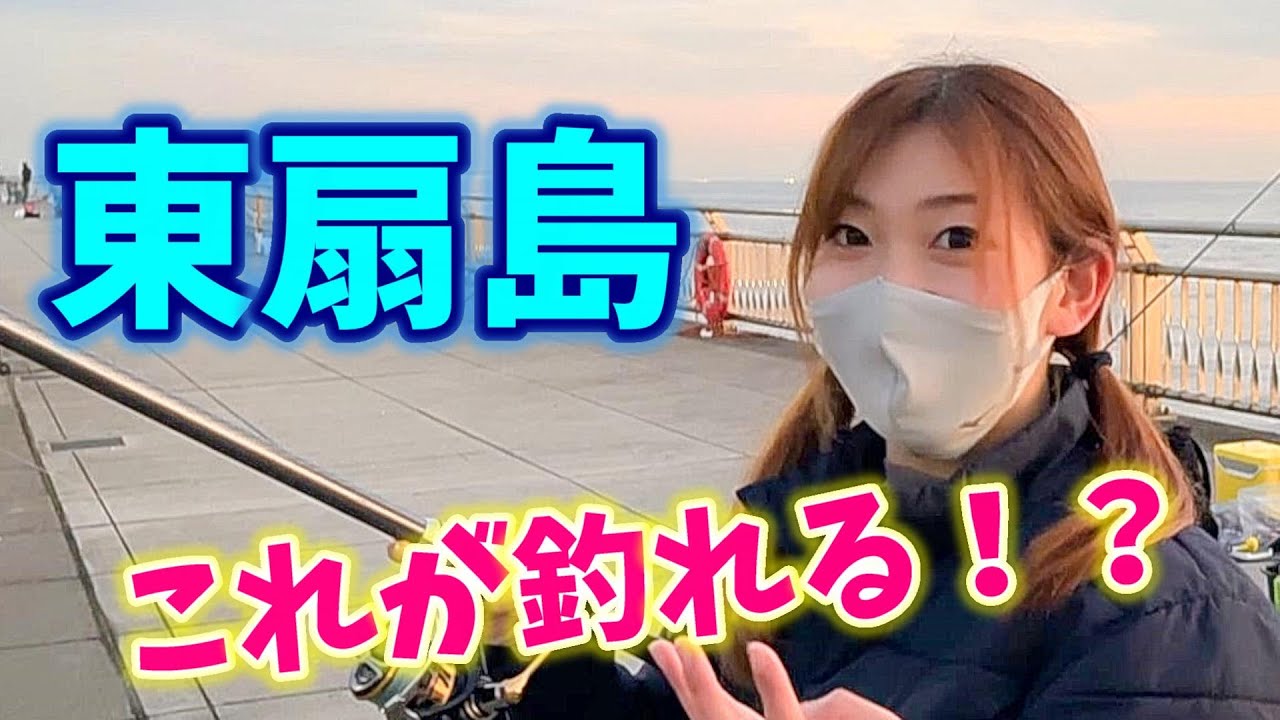 【東扇島西公園】このサビキ絶好調！釣りガールがサビキ・泳がせ・ちょい投げを楽しんできました