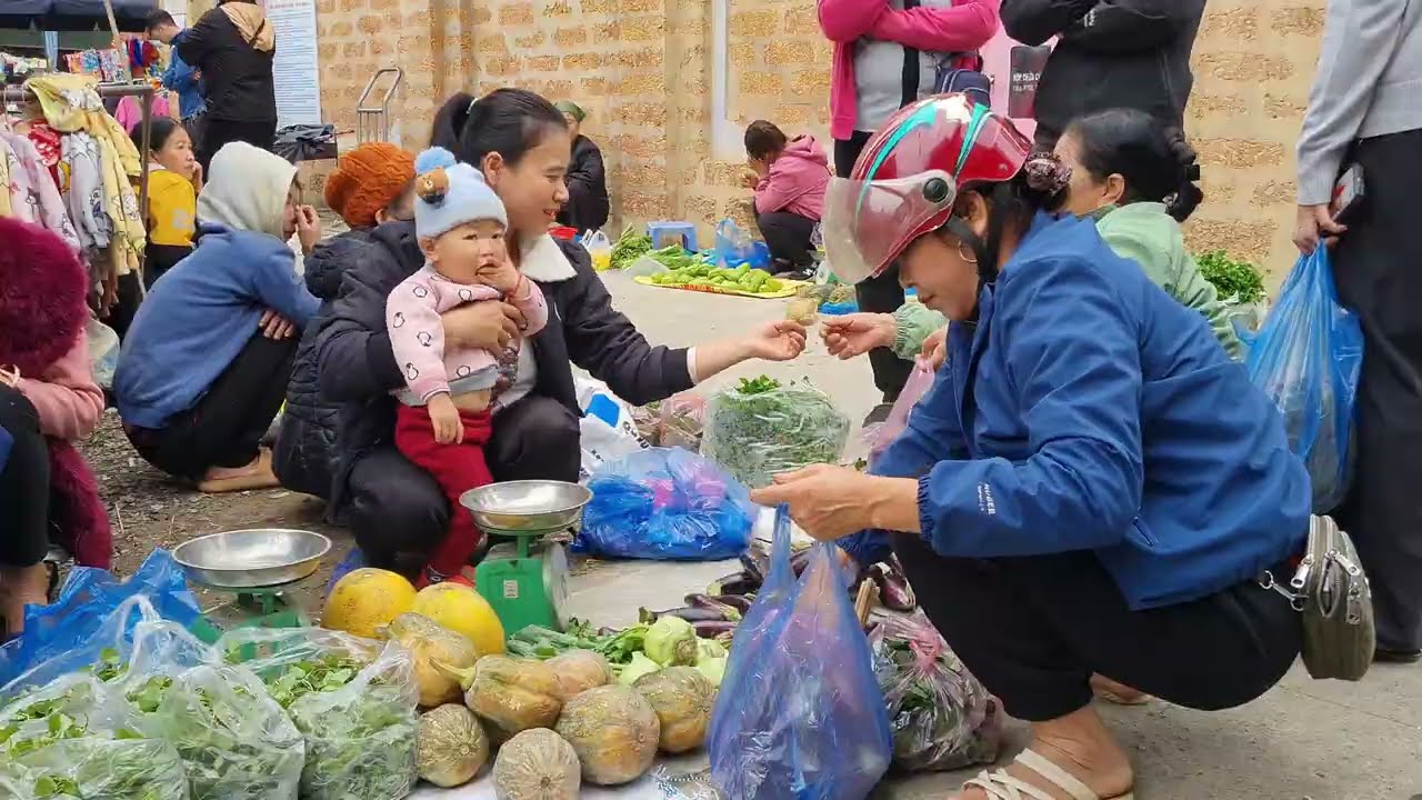 Harvesting Eggplants Goes to the market sell - Build Completed Bamboo House | Single Mom VN