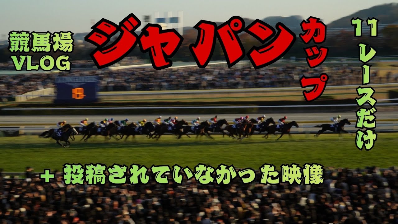 【全編】2025ジャパンカップ現地レース映像！とんでもない激戦でした🏇競馬外人！