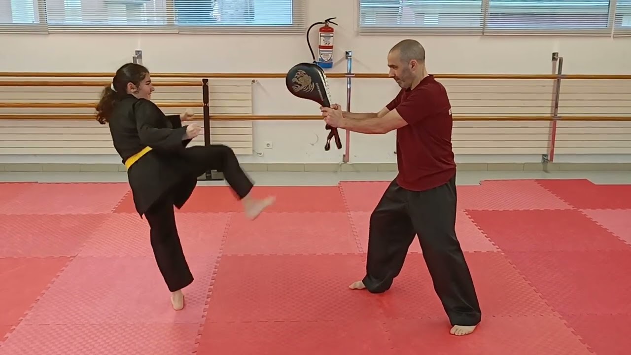 Hapkido patada circular alta 🥋🥋
