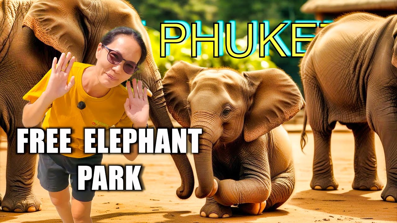 KOSTENLOSER ELEPHANT SANCTUARY auf PHUKET