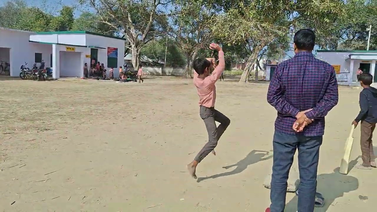 Cricket 