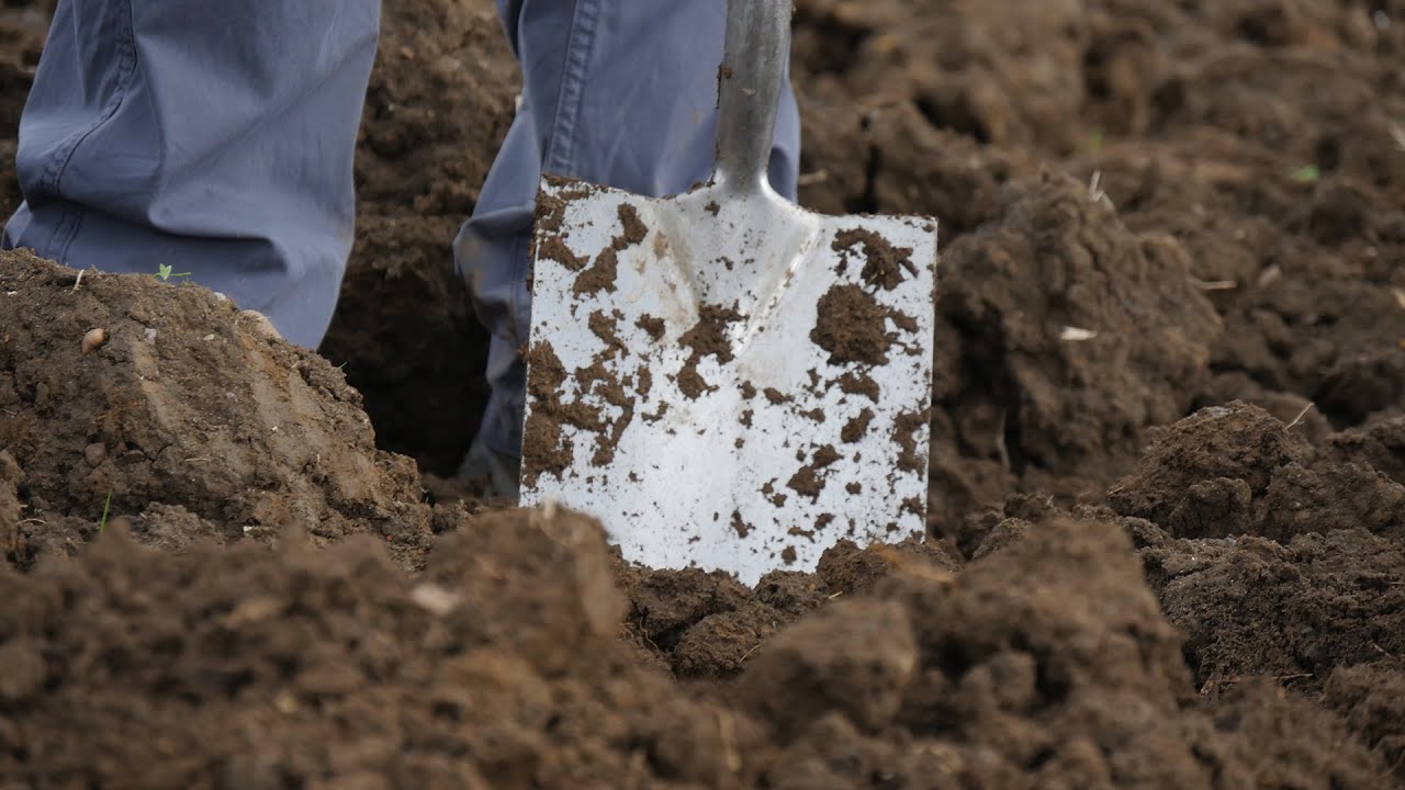 GREATsoils - Soil Health for Horticulture (2018)