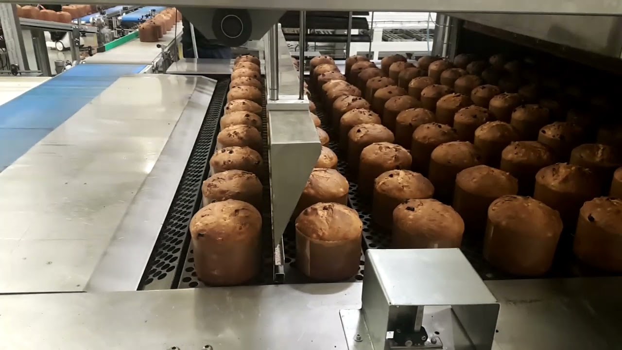 GAMACO - PICK AND PLACE PANETTONI