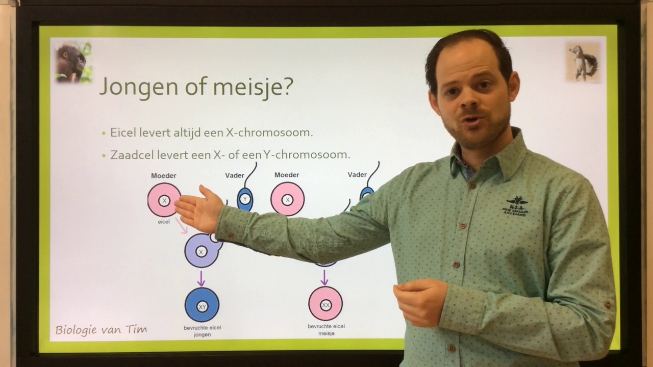 Biologie van Tim - Genetica: de basis