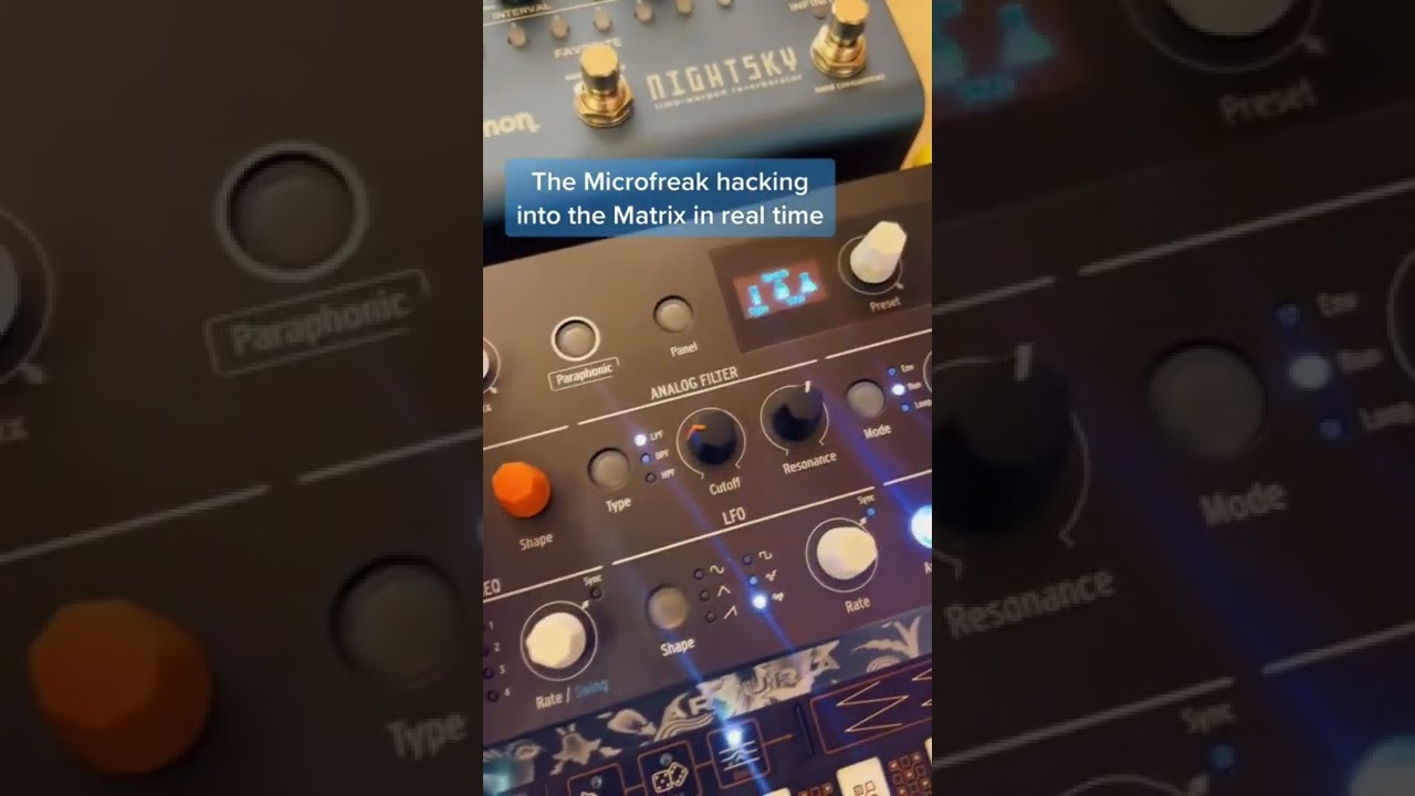 The main reason to pick up a Microfreak #microfreak #synth #arturia #dawless #shorts