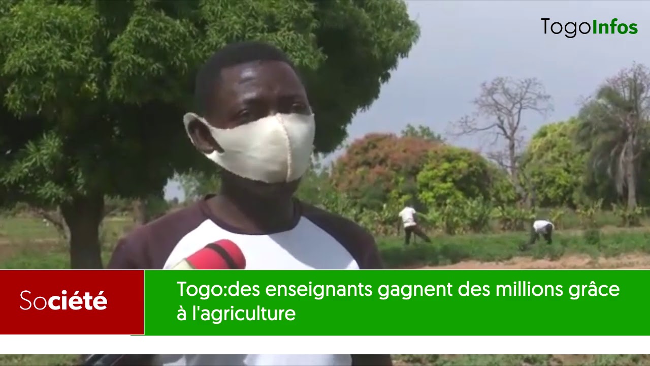 Togo: des enseignants gagnent des millions grâce à l'agriculture