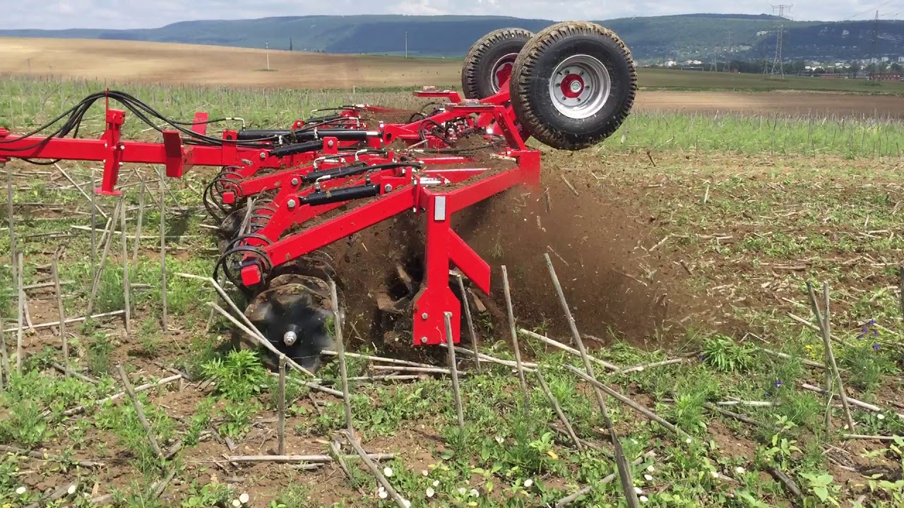 VAgro VGR CutMaster 6200 aprítóhenger napraforgó tarlóban.