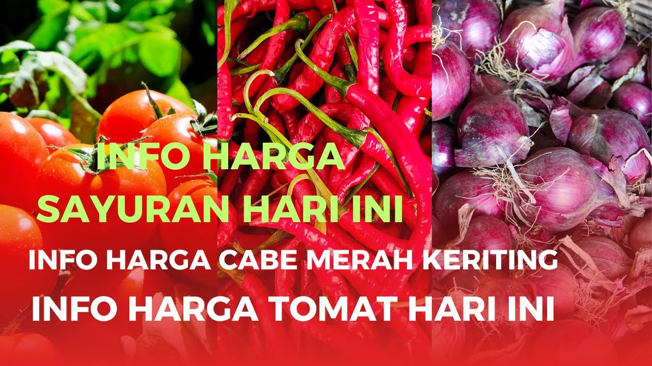 Info harga sayuran hari ini dan Info harga cabe merah keriting hari ini #pasar #cabemerah #viral