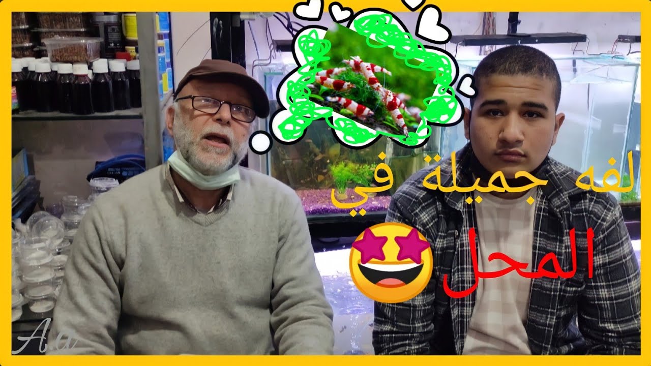 الحج محمد نجيب ولفه جميله في المحل وكلمه من خبير النبتات المائية شهين
