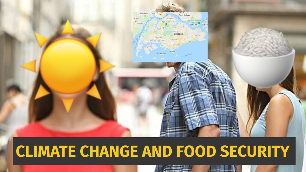 Hungry For Food Security in Singapore