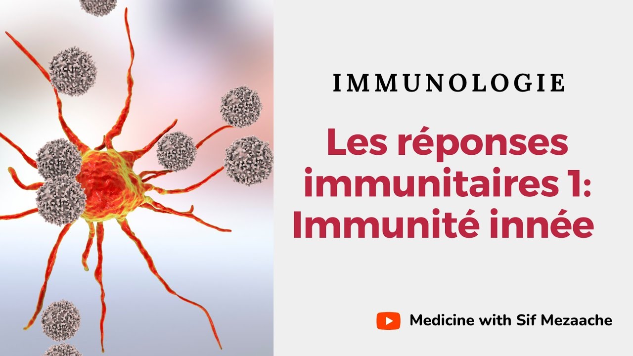 7.1/ Les réponses Immunitaires 01:  Immunité innée | Immunologie