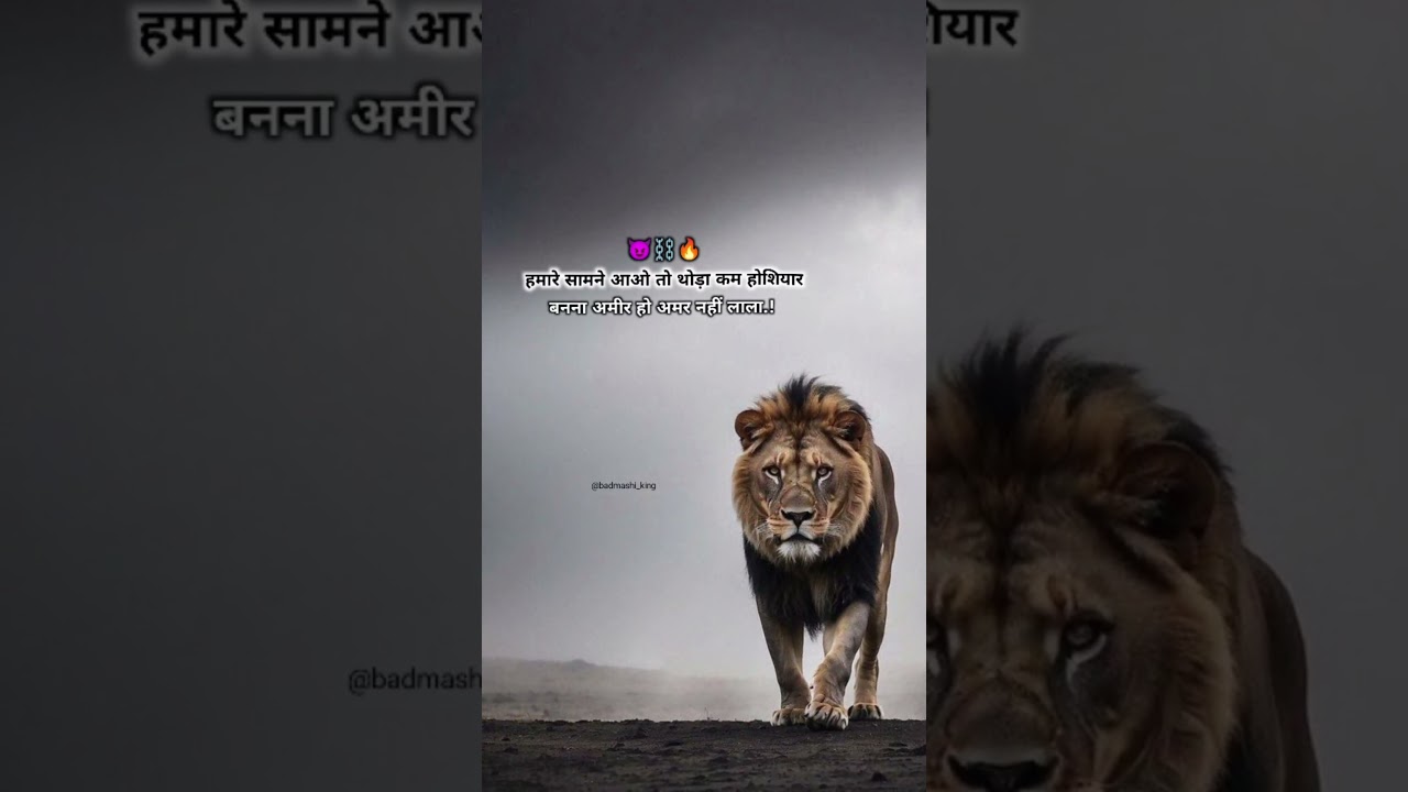 🔥 Real Badmashi Status | Sher Lion Attitude Video 😈 | Amir Ho Amar Nahi Lala Status | New Status