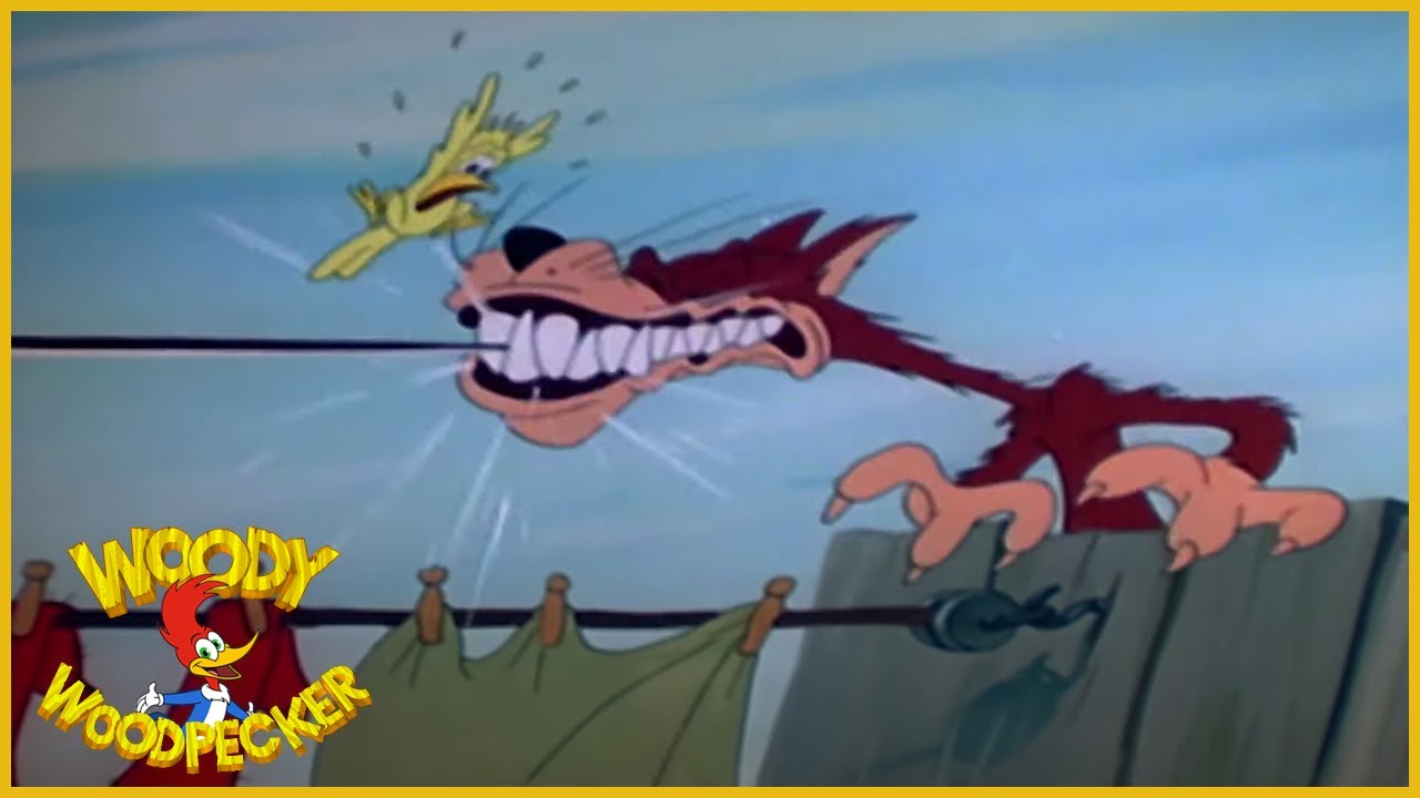 Woody Woodpecker | Musical Miniatures | Full Episodes