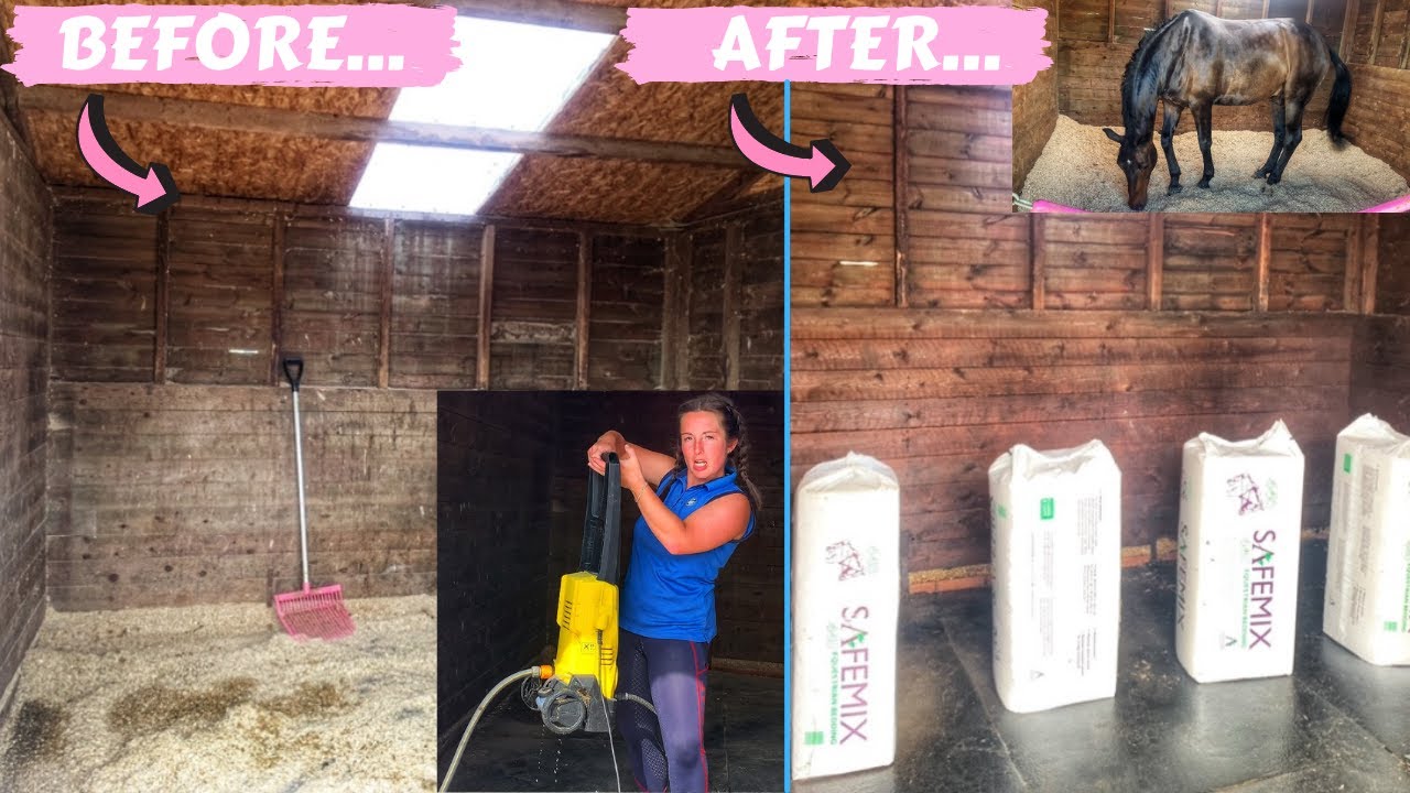 SATISFYING STABLE SPRING CLEAN/ TRANSFORMATION!