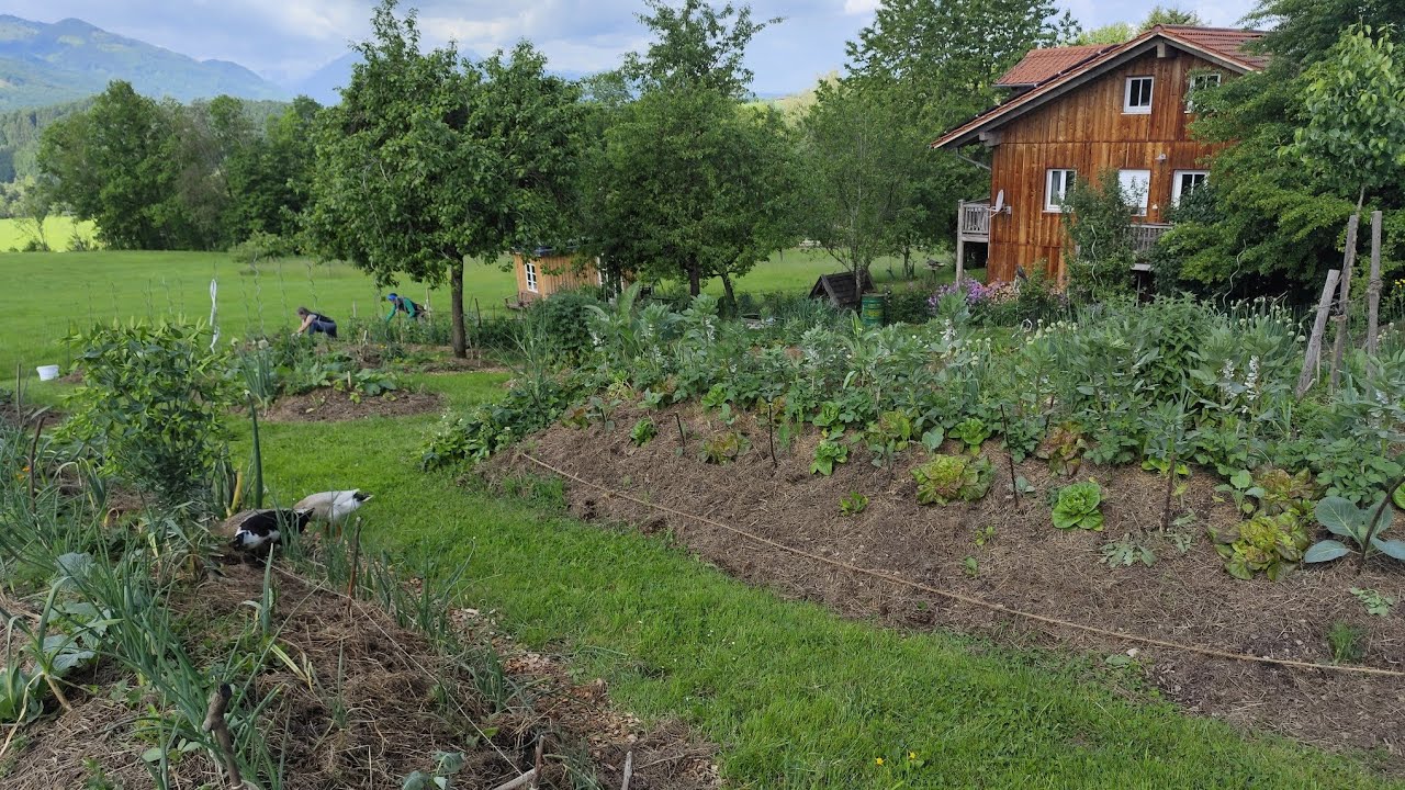 Gemeinschaftsgarten in Bergen im Chiemgau