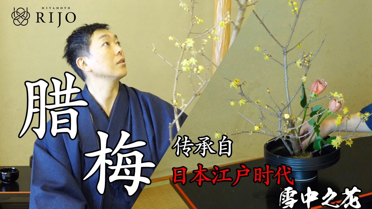 【日式插花教学】如何用腊梅做插花-宮本理城
