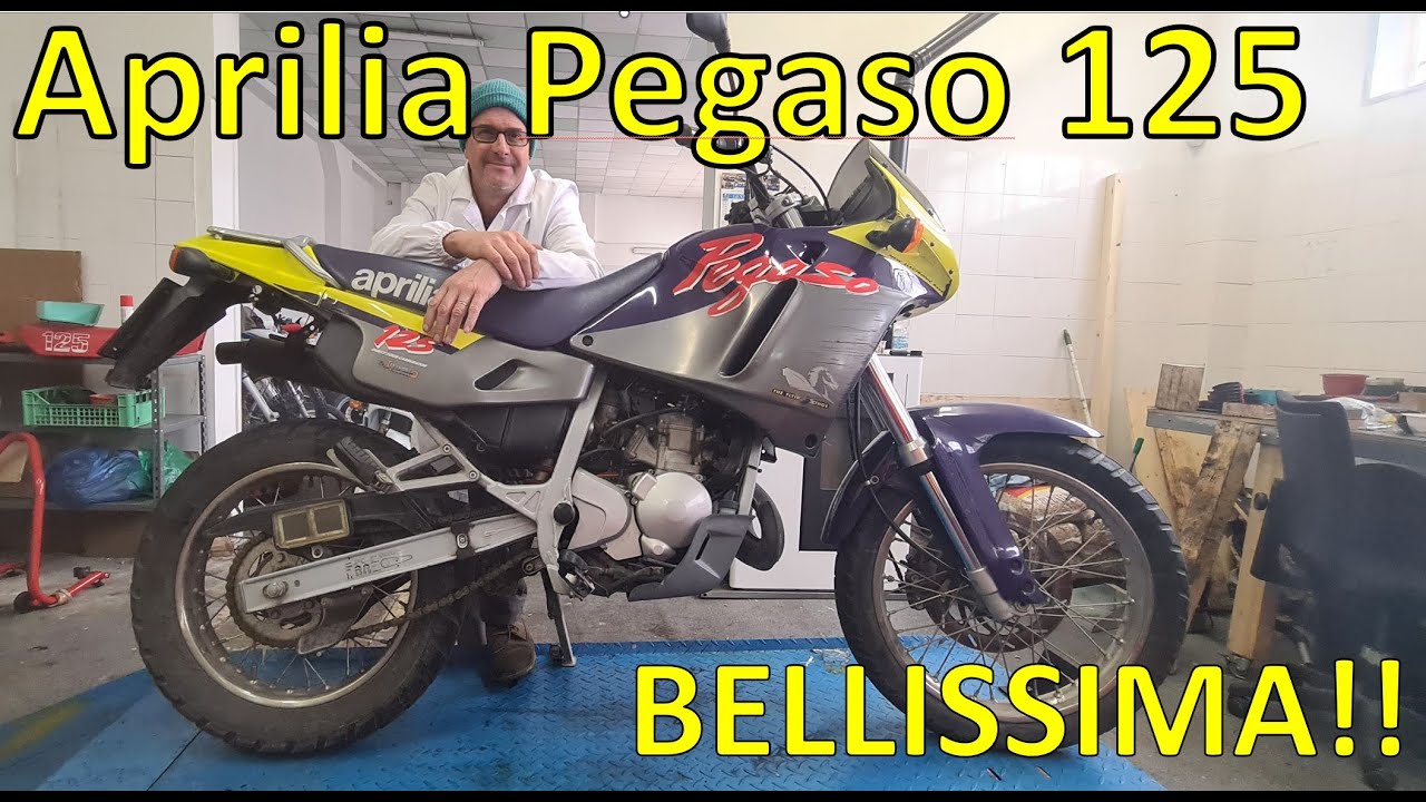 Aprilia Pegaso 125 - Segni particolari, bellissima!