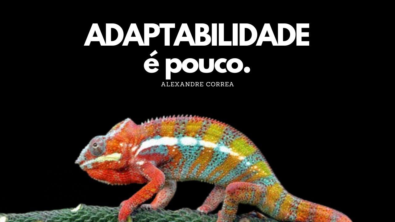 Adaptabilidade, inova&ccedil;&atilde;o e habilidades do profissional do futuro