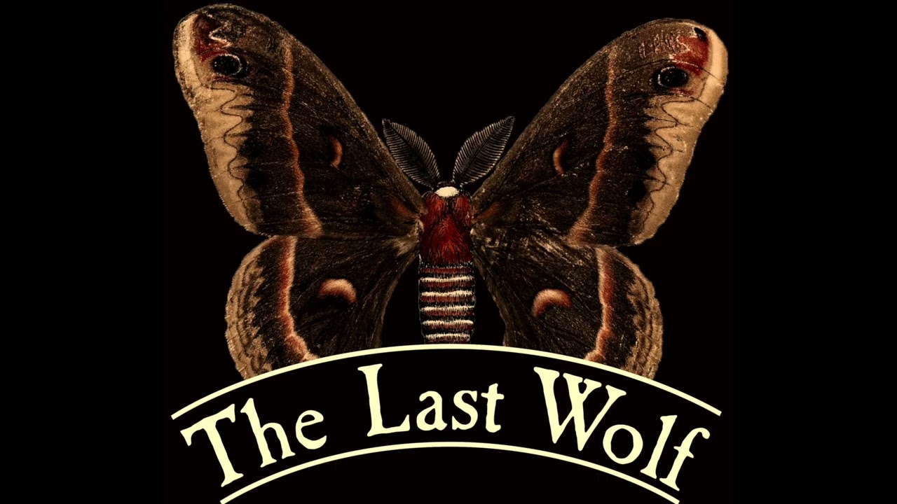 The Last Wolf - Till The End Of The Day