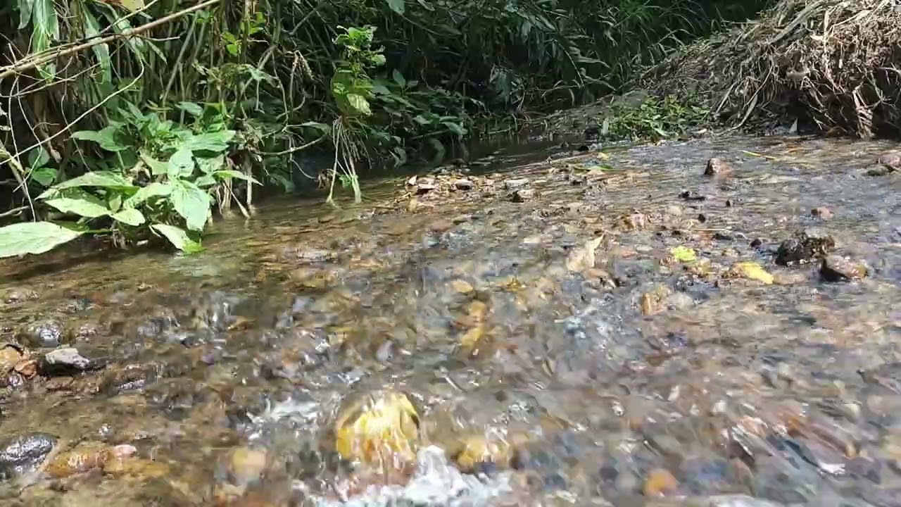 The Sound of Flowing Water Calms the Mind 🍃💧