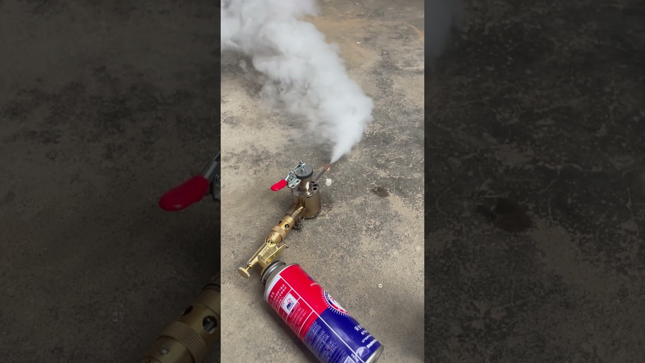 Portable oxalic acid gas vaporizer for beekeeping