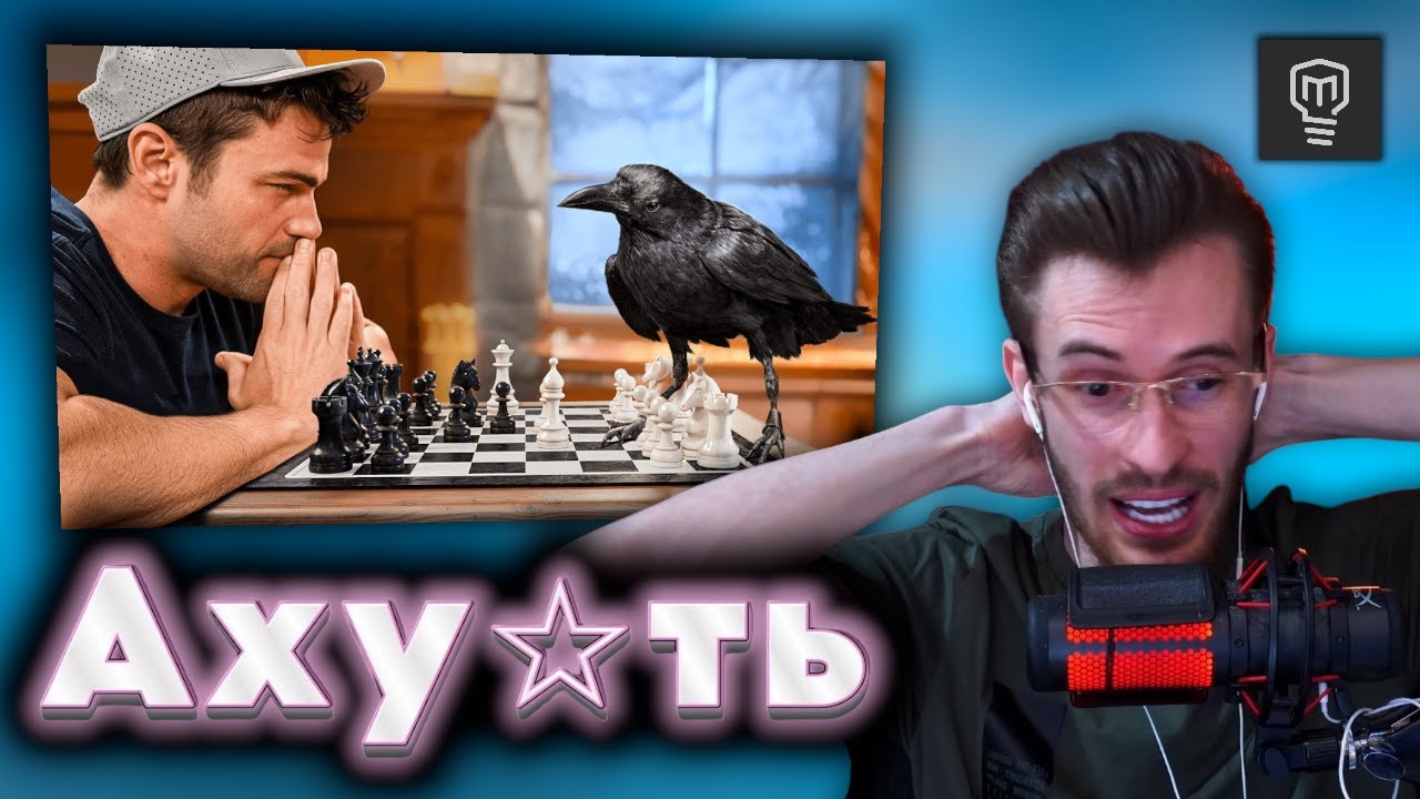Заквиель смотрит как УМНАЯ ВОРОНА решает головоломки  | Mark Rober |